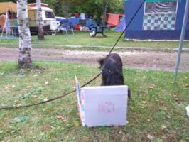 160718095531_img_20160714_202804