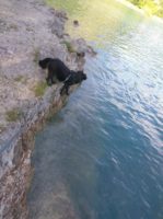 160718101025_img_20160715_183849