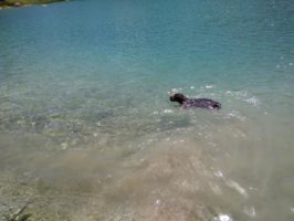 160718101028_img_20160714_124751
