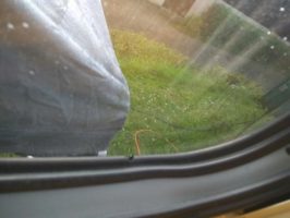 160515062338_img_20160507_182311