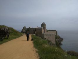 160710034736_img_20160530_122822_-_kopie