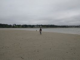 160710045338_img_20160602_144601