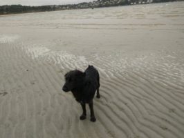 160710045339_img_20160602_144521