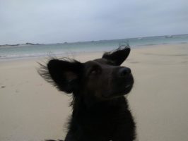 160710051212_img_20160603_195050