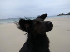 160710051213_img_20160603_195044