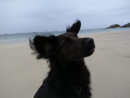 160710051214_img_20160603_195042