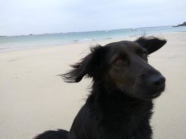 160710051216_img_20160603_195039