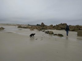 160710051223_img_20160603_121419