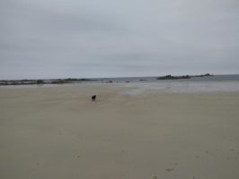 160710051224_img_20160603_121014