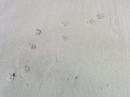 160710054502_img_20160606_104308