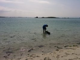 160710054510_img_20160605_170339
