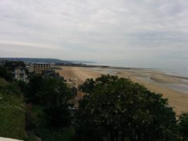 160710081949_img_20160611_113147__2_