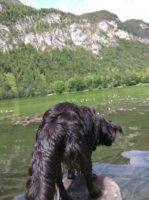 160710100929_img_20160615_135524