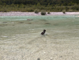 160816095646_img_20160812_130932