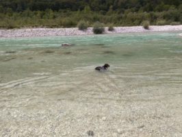 160816095646_img_20160812_130933