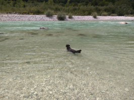 160816095646_img_20160812_131021