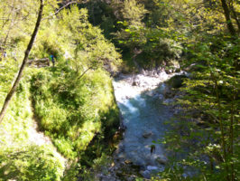 160816100246_img_20160813_101827