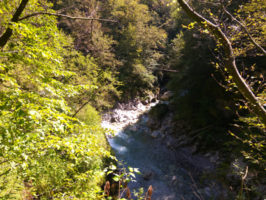 160816100246_img_20160813_101842