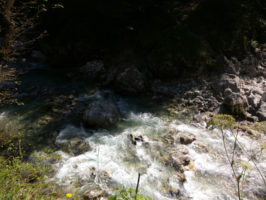 160816100246_img_20160813_102006
