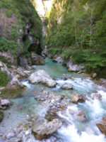 160816100246_img_20160813_102500