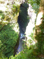 160816100246_img_20160813_104045