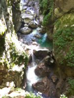 160816100350_img_20160813_104411