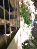 160816100350_img_20160813_104418