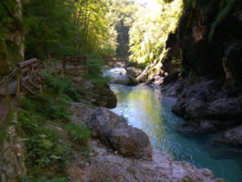 160816100350_img_20160813_111507