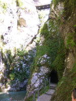 160816100350_img_20160813_111608