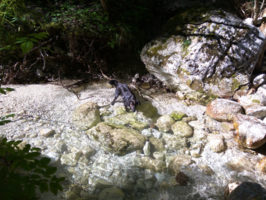 160816102728_img_20160814_093524