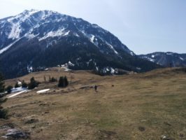 img_20160402_132657