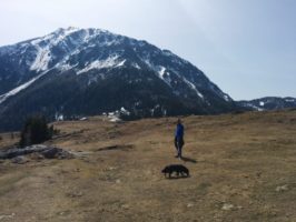 img_20160402_132739