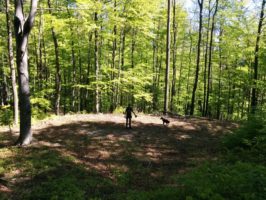 img_20160430_103149