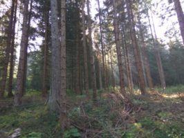 img_20160828_092537