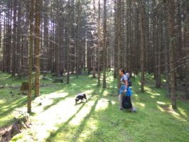 img_20160829_103755