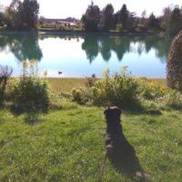 img_20161021_145837