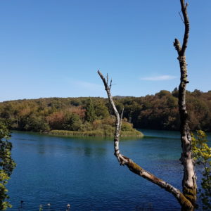 20160924_105533