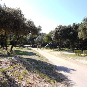 20160930_123702