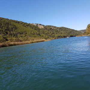 20161004_122331