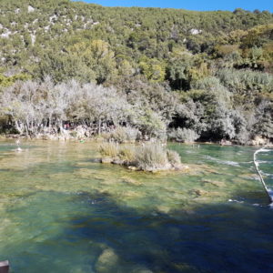20161004_123628