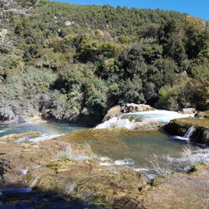 20161004_123904