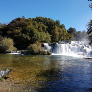 20161004_123929