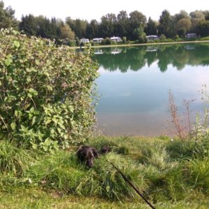 IMG_20160910_101515