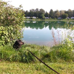 IMG_20160910_101527