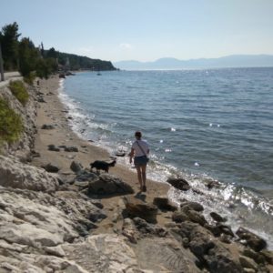 IMG_20161001_122719