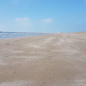 20170502_094941