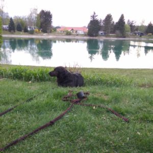 IMG_20170414_175236