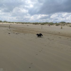 IMG_20170428_140102