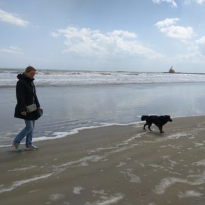 IMG_20170428_140301