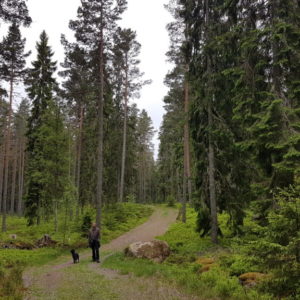 20170604_095024